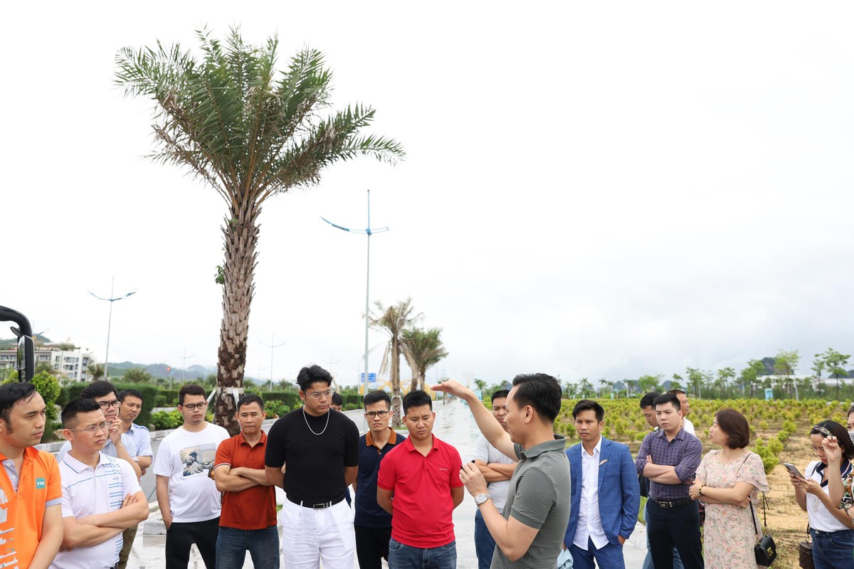 Hoạt động đi thực địa của các học viên Rich Nguyen Academy tìm hiểu đầu tư bất động sản