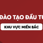 banner-khu-vuc-mien-bac