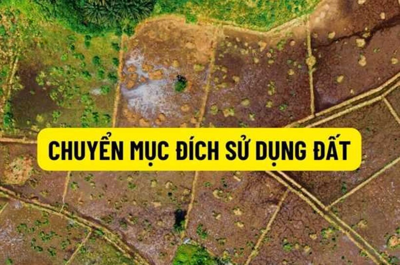 Chuyển đổi mục đích sử dụng đất là gì?