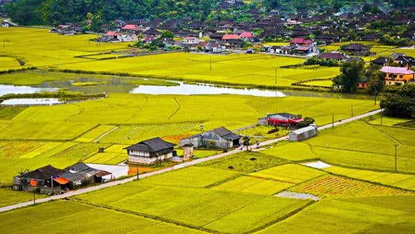 Các loại đất được chuyển đổi sang đất thổ cư theo quy định hiện hành